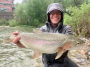 rain rainbow trout